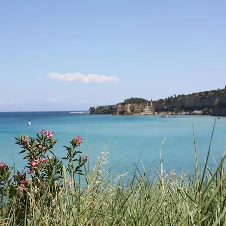 Orfanos 5