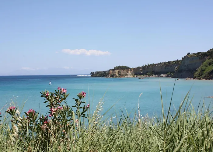 Orfanos 5